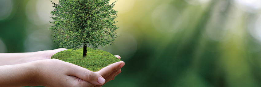 可持续发展报告